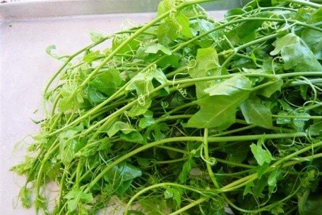 Chumphon Municipality8.jpg